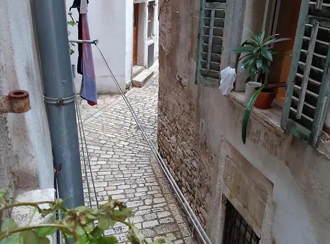 Charmy * Ρόβινι