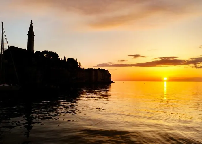 Charmy * Ρόβινι